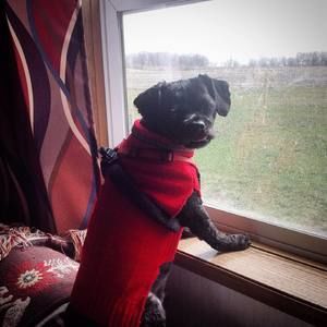 Meet your Posher, Yvonne